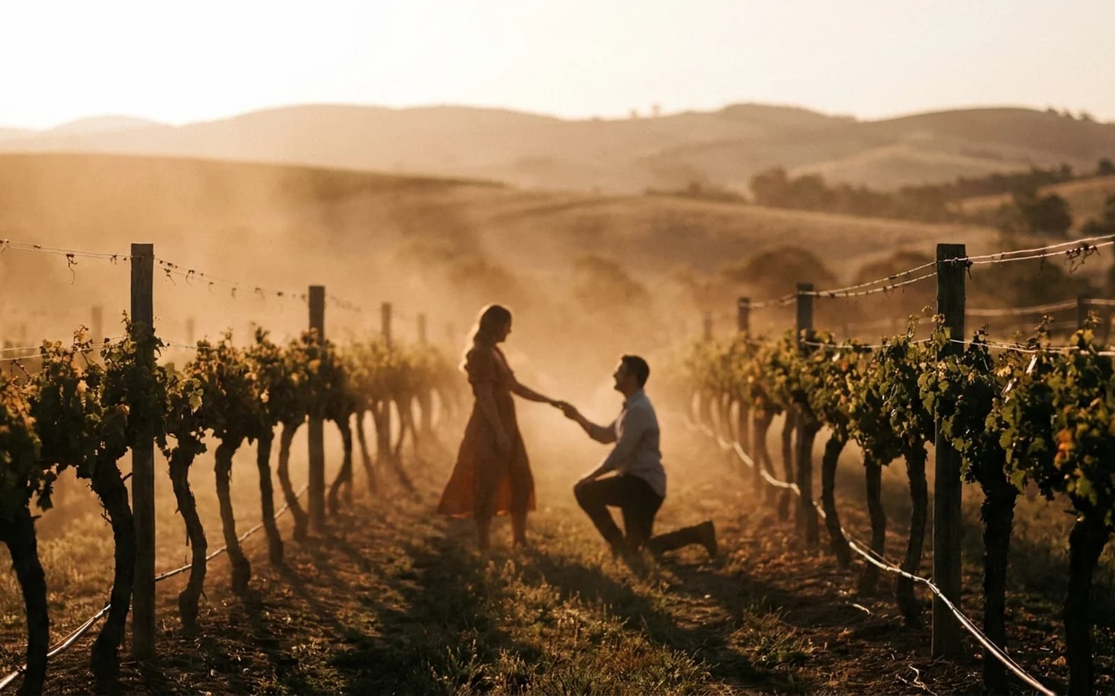 Vineyard proposal at golden hour in the Yarra Valley wine country
